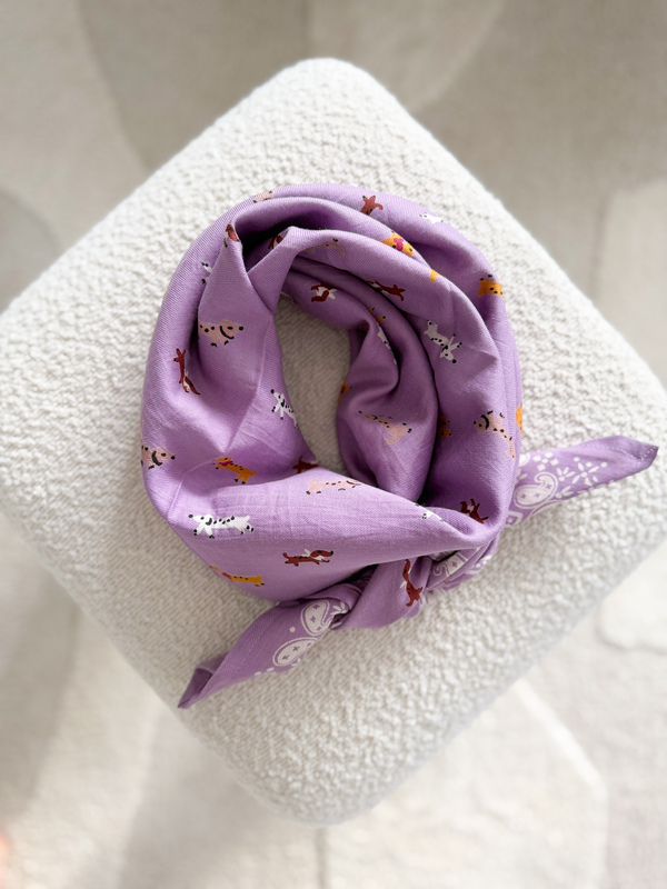 grand-foulard-imprime-teckel-mauve