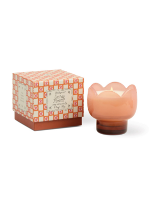 Bougie Tulipe - Cactus flower